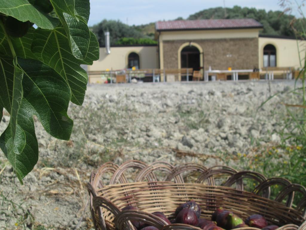 Agriturismo Donna Beatrice Bianco Exterior foto